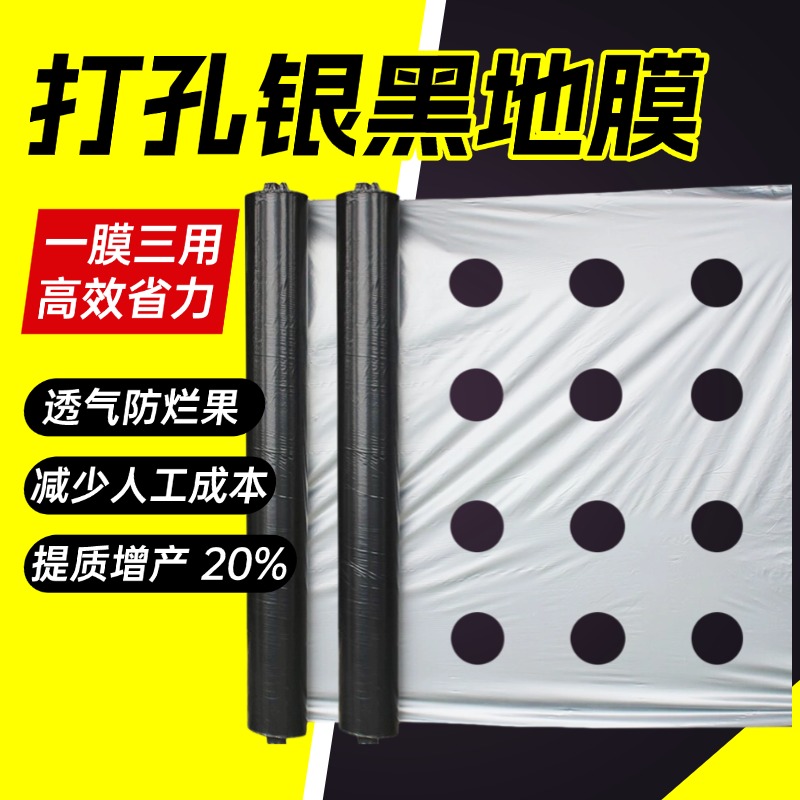 【种植基地严选】打孔地膜TOP