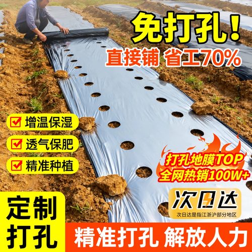 【种植基地严选】打孔地膜TOP