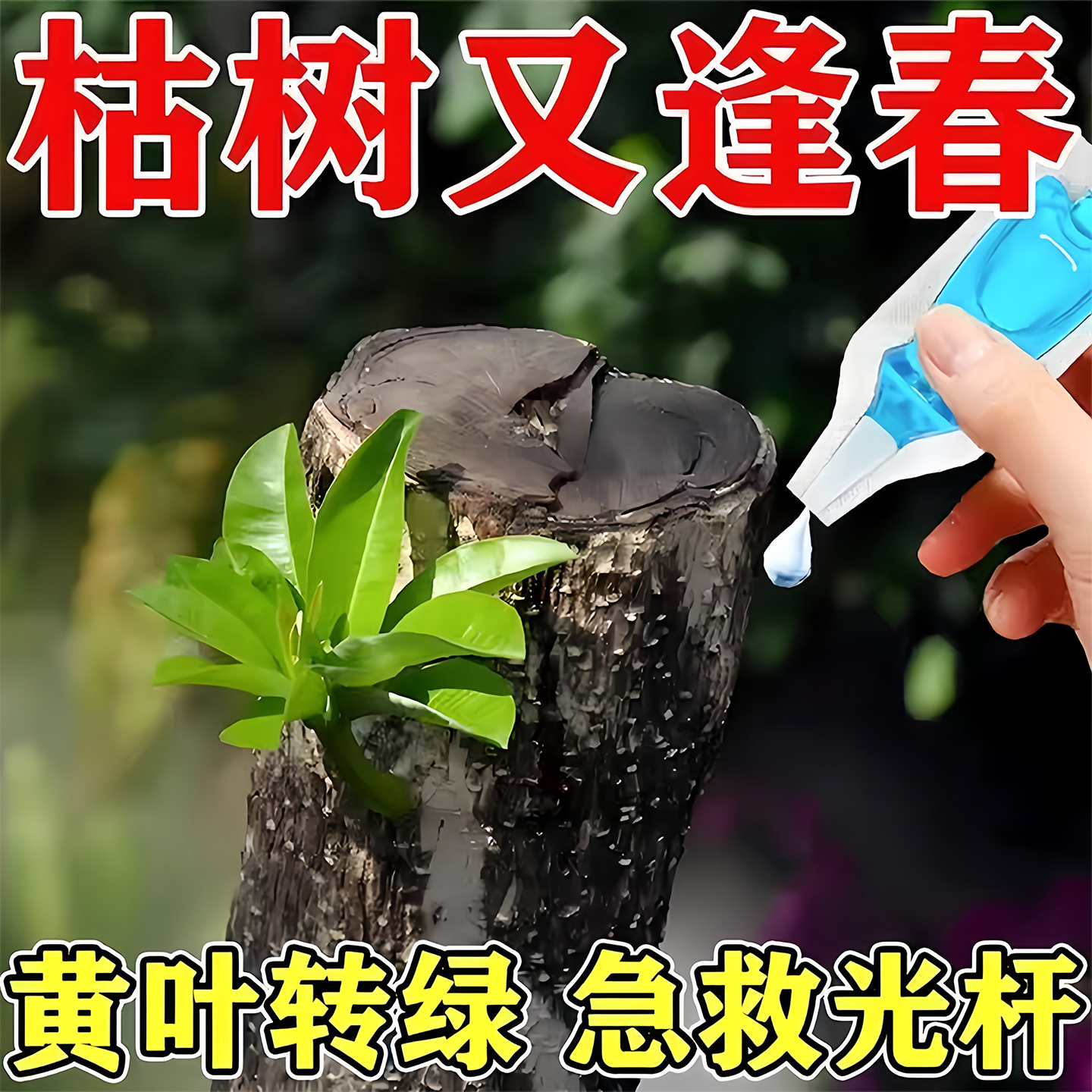 植物再生剂复活液花卉绿植盆栽通用光杆发黄发财树多肉生长营养液