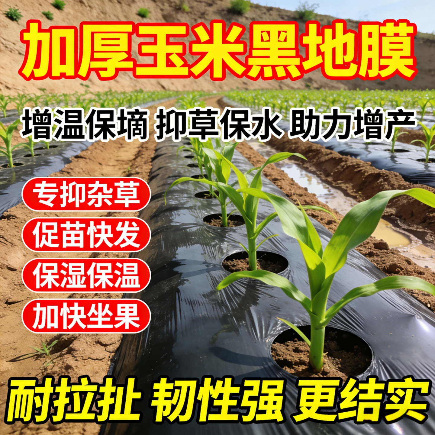 玉米专用地膜黑色加厚农用种植塑料薄膜菜园保温防长草防草布除草,农机/农具/农膜,农用薄膜,淘宝优惠券,粉丝福利购,淘宝优惠卷
