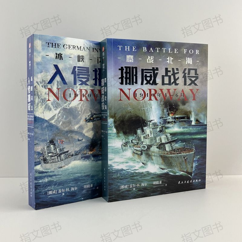 闪电战的典范，海陆空联合作战的先驱