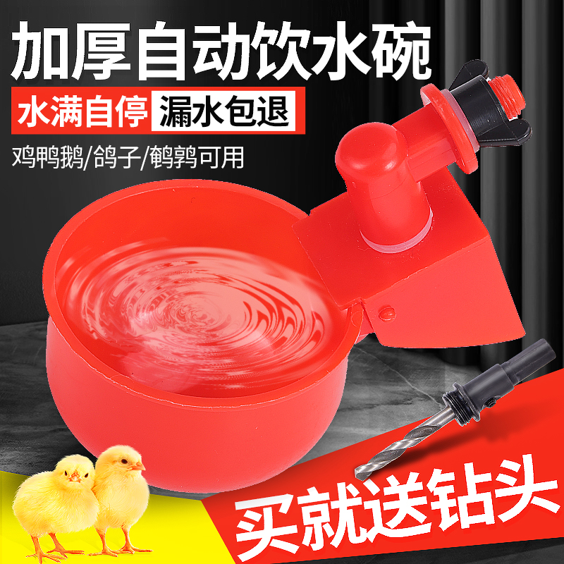 加厚鸡用自动饮水器家禽喝水碗