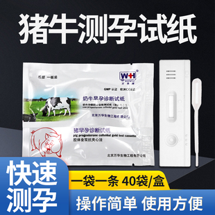 猪牛用早孕测试纸母猪怀孕试纸牛用测孕纸兽用早孕检测卡验孕棒
