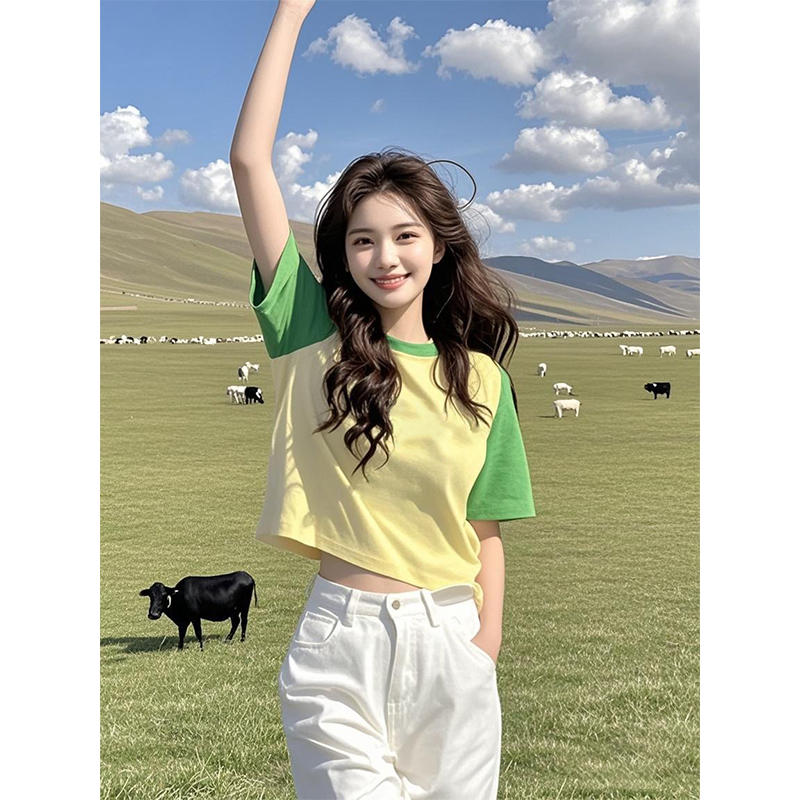 夏日多巴胺黄绿色短袖打底衫