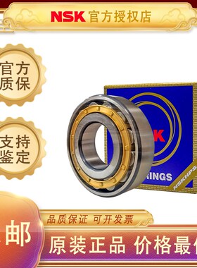日本NSK进口轴承N304 N305 N306 N307 N308 N309 N310 N311 N312W