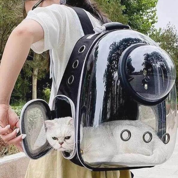 猫包外出双肩包太空舱宠物大容量猫背包猫咪外出包便携太空包透明