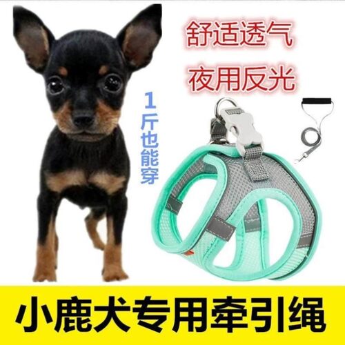 【批发】猫咪牵引绳可调节溜猫牵引绳猫绳子猫牵引防挣脱外出专用