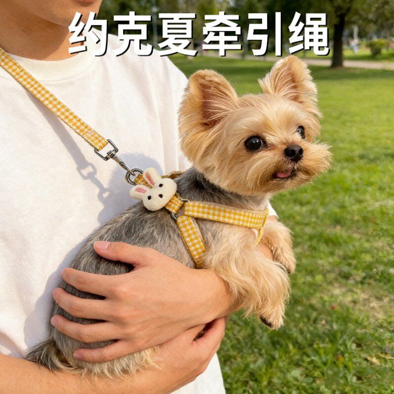 泰迪嘴套狗狗专用小型犬外出防乱叫防咬人可喝水静音透气宠物用品