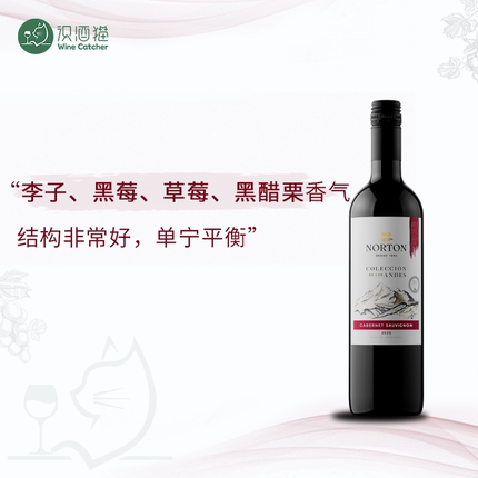 「识酒猫」 智利进口干红葡萄酒梅洛赤霞珠长相思干白阿根廷诺藤