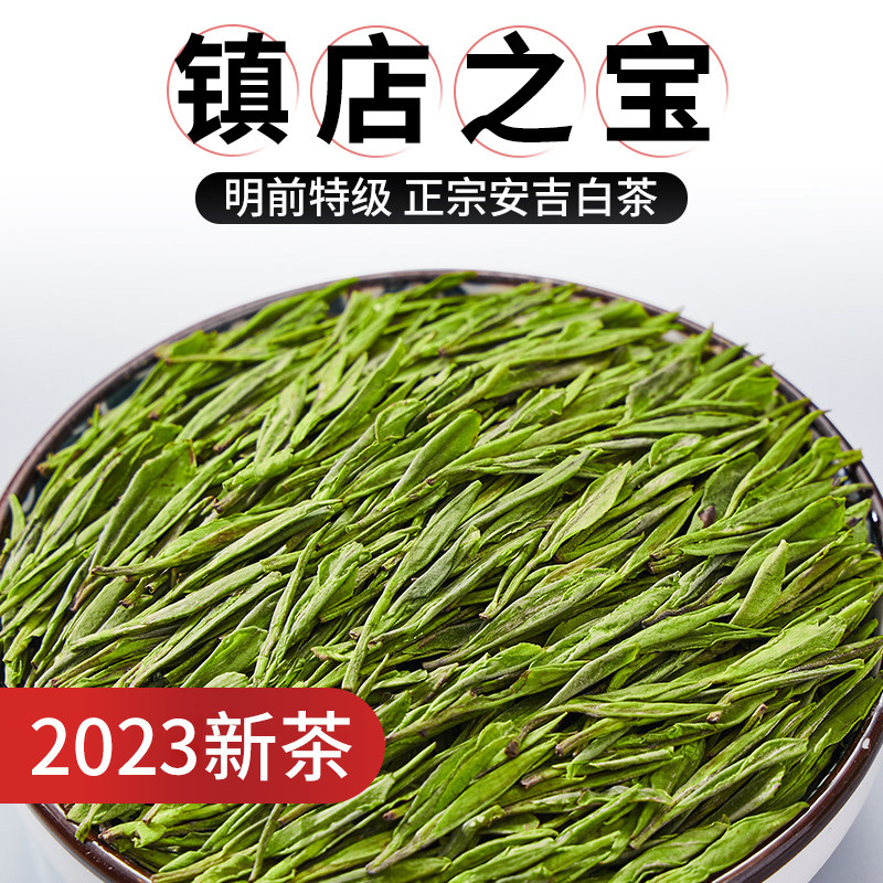 正宗安吉白茶 2023新茶正宗明前特级高端礼盒装 100g_虎窝淘