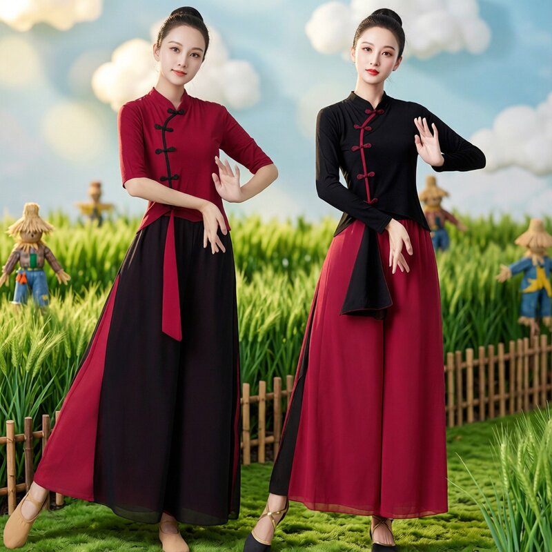奥戴尔琵琶长袖套装雪纺裤子练功服中袖古典舞服装优雅女款舞蹈服