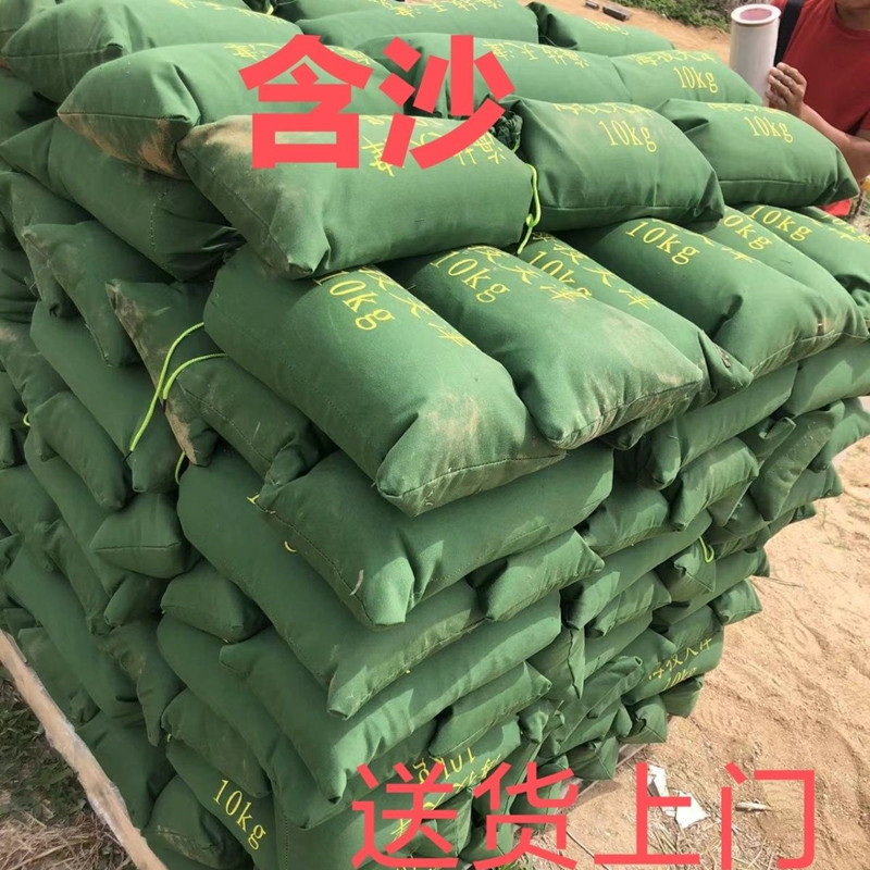 防汛专用沙袋含沙防洪防水抗洪消防防台风家用户外压重应急救援大