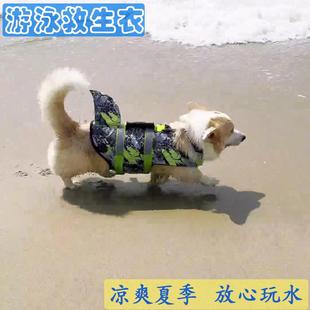 狗狗救生衣宠物鲨鱼卡通游泳浮力安全衣中大型小犬玩水防溺水背心