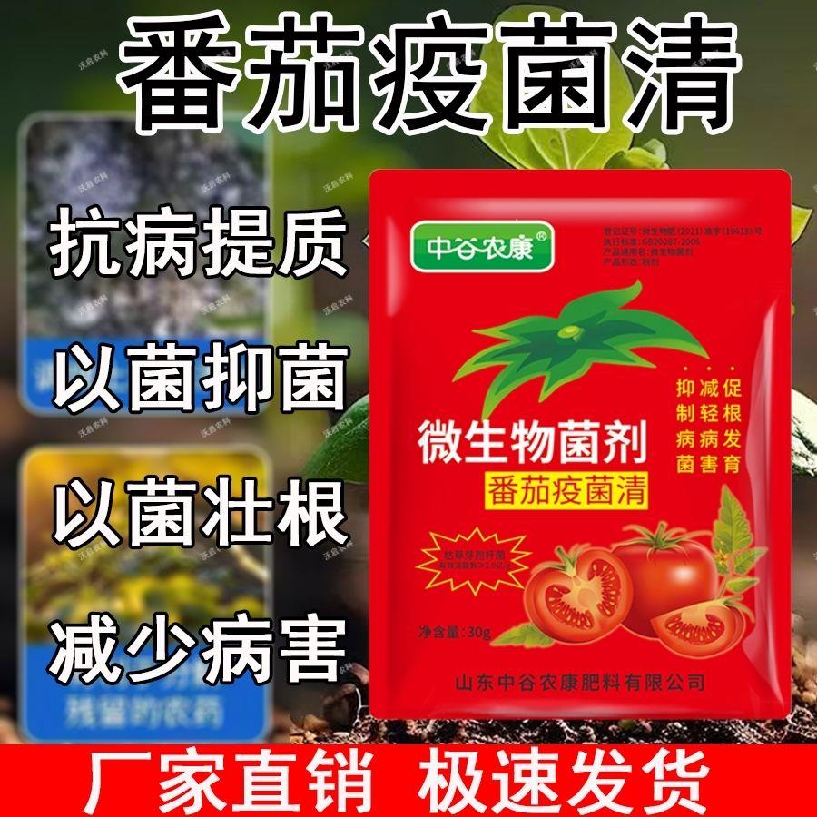 番茄病菌清西红柿专用早晚