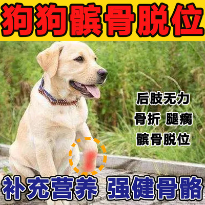 狗狗髌骨脱位骨折药宠物泰迪关节炎后腿无力瘸趴蹄矫正补钙软骨素