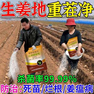 生姜地土壤杀菌消毒剂连作抗重茬专用防土传病害根腐微生物菌肥