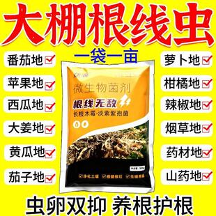 农用根结线虫专用剂淡紫紫孢菌根结根瘤除菌根线灵地下根通用菌剂