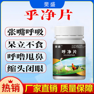 呼净片禽类鸡鸭鹅缩头闭眼张嘴呼吸呼噜怪叫气喘干咳呆立精神不振