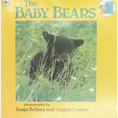 英文原版图书熊宝宝自然绘本