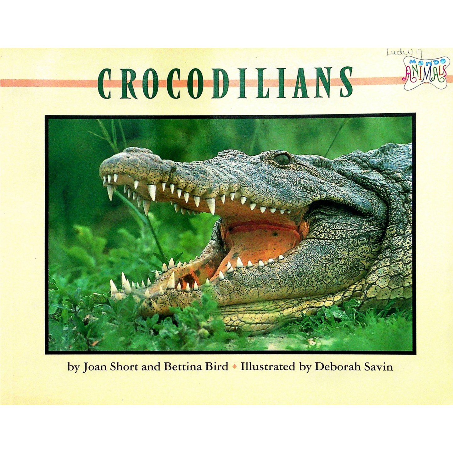 英文原版图书鳄形目科普绘本