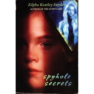 戴尔幼童图书原版英语章节书SpyholeSecrets窥视孔的秘密适合1114岁青少年阅读的悬疑成长小说讲述关于秘密与道德困境的精彩