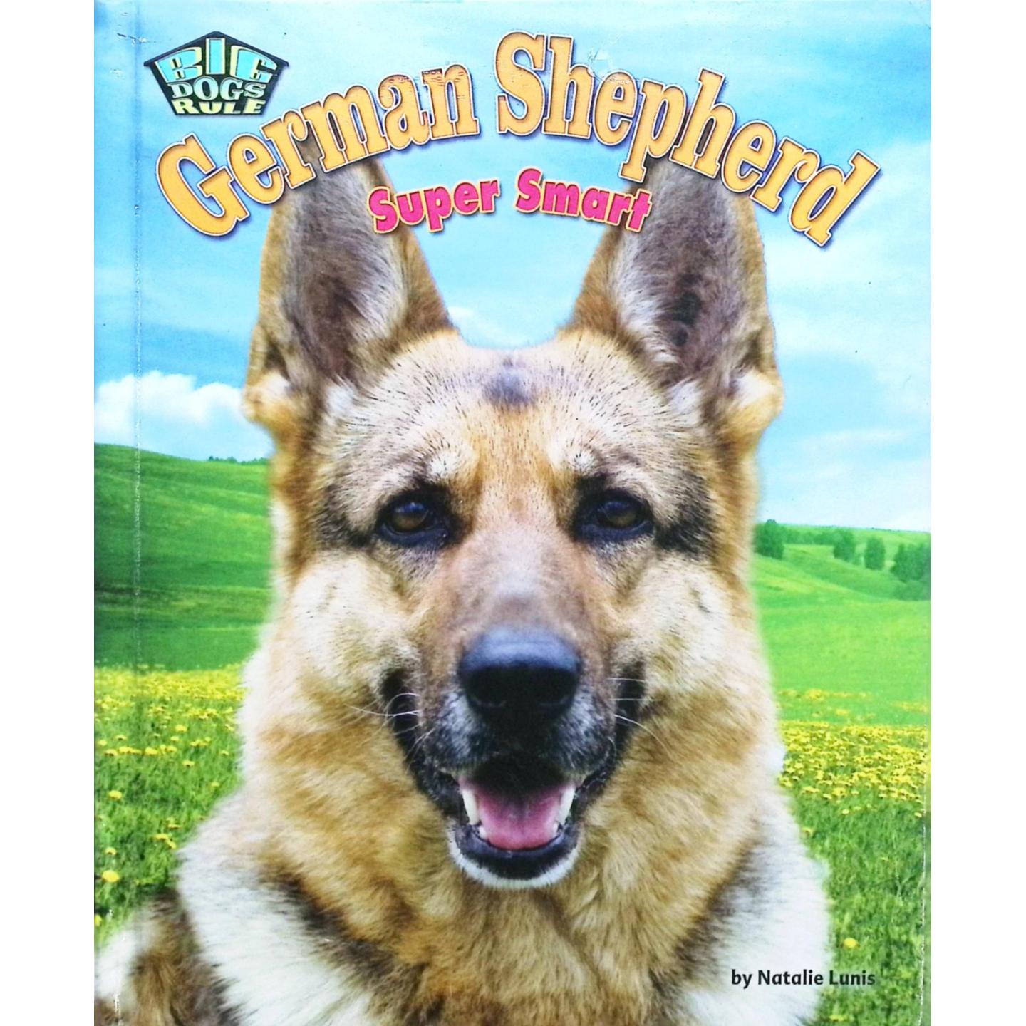 英文原版图书德国牧羊犬科普绘