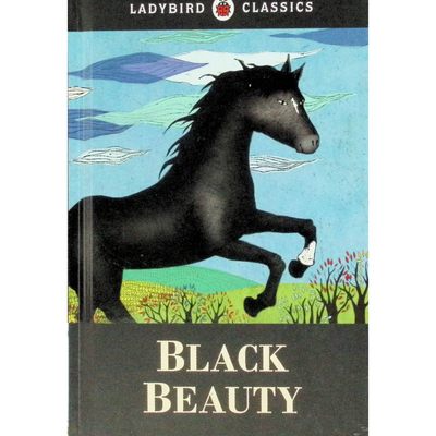 英文原版图书经典黑骏马绘本