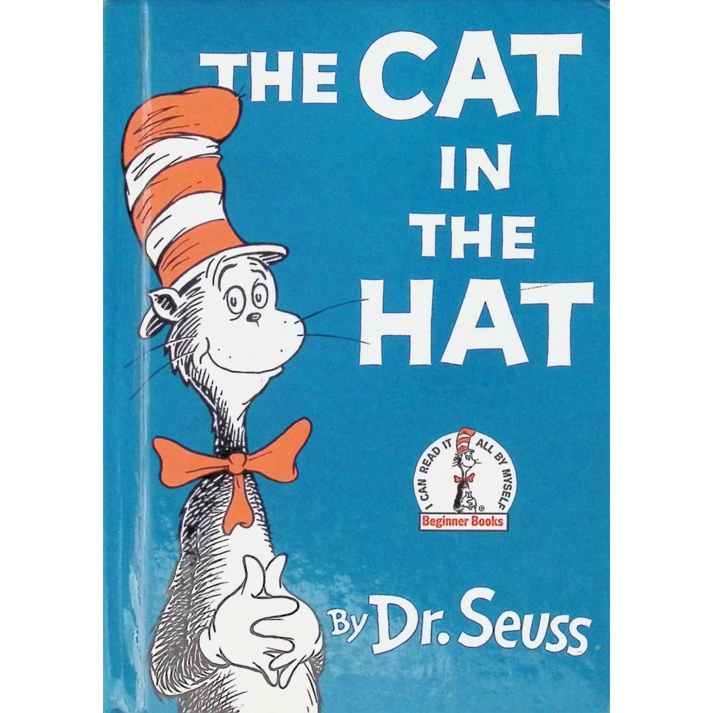 英文原版图书戴帽子的猫英语绘