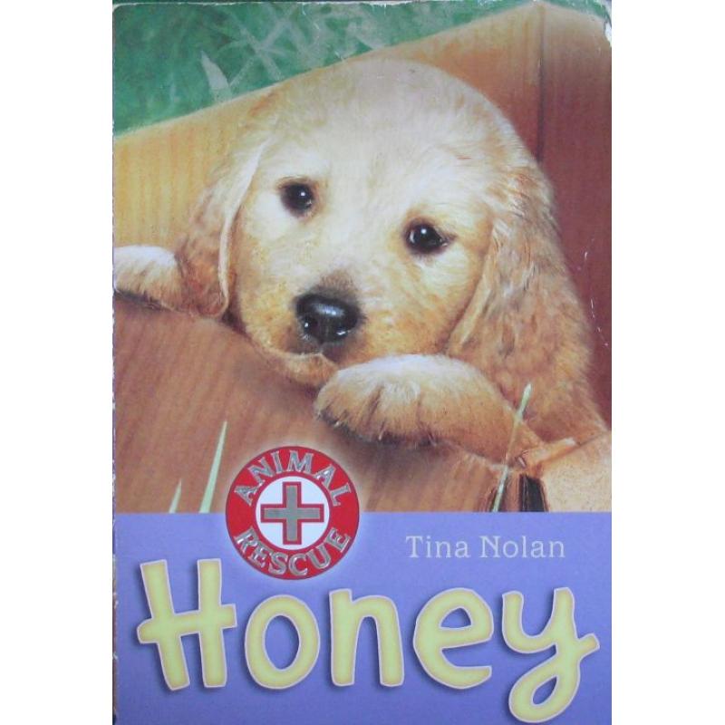 Honey: The Unwanted Puppy by Tina Nolan平装Stripes蜂蜜