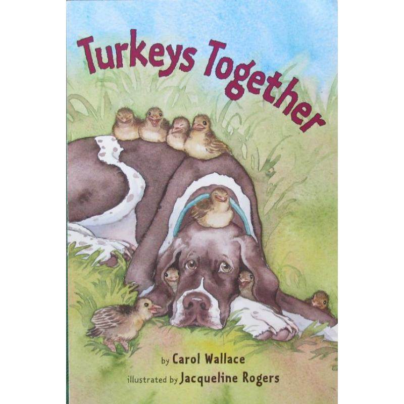 turkeys together by carol wallace平装scholastic火鸡在一起