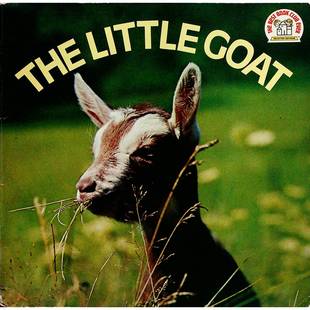 英语原版书TheLittleGoat小山羊绘本讲述男孩安迪与小山羊的温暖友谊故事适合36岁儿童亲子共读学习动物习性和爱的教育