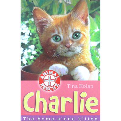 英文原版图书暖心动物救援故事