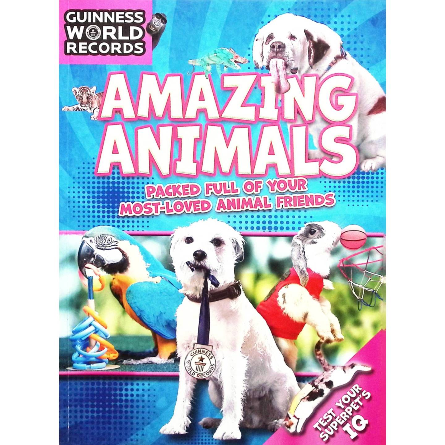 英文原版图书奇妙动物亲子共读