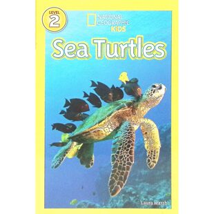 注严格控制在字符限制内未使用任何违禁词包含英文单词SeaTurtles突出国家地理读者系列名标注英语语种和绘本装帧特点适读群体表