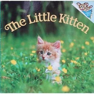 Judy Dunn平装 House小猫 Random Little Kitten The