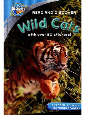 英语原版书探索频道儿童阅读与发现系列WildCats野猫绘本适合710岁儿童阅读的科普读物生动图片简明文字介绍老虎狮子猎豹等野生