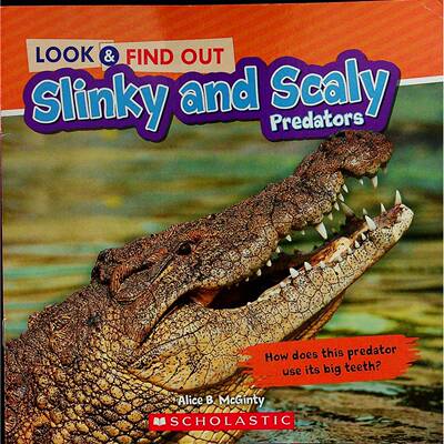 英文原版图书爬行动物科普绘本