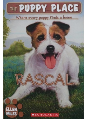 英语原版书小狗之家系列Rascal儿童文学动物小说适读710岁讲述彼得森一家收养流浪小狗的故事展现孩子们对动物的关爱和责任心轻