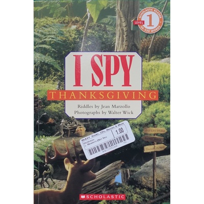 英文原版图书感恩节ISpy绘本