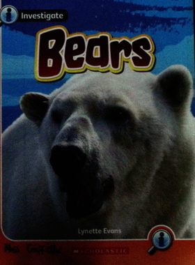 探究系列原版书英语科普Investigate熊类动物亲子共读彩色插图适合710岁儿童了解熊的种类特征生活习性及生态保护知识