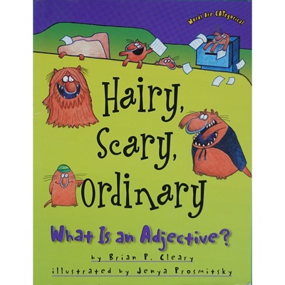 英文原版图书趣味形容词绘本