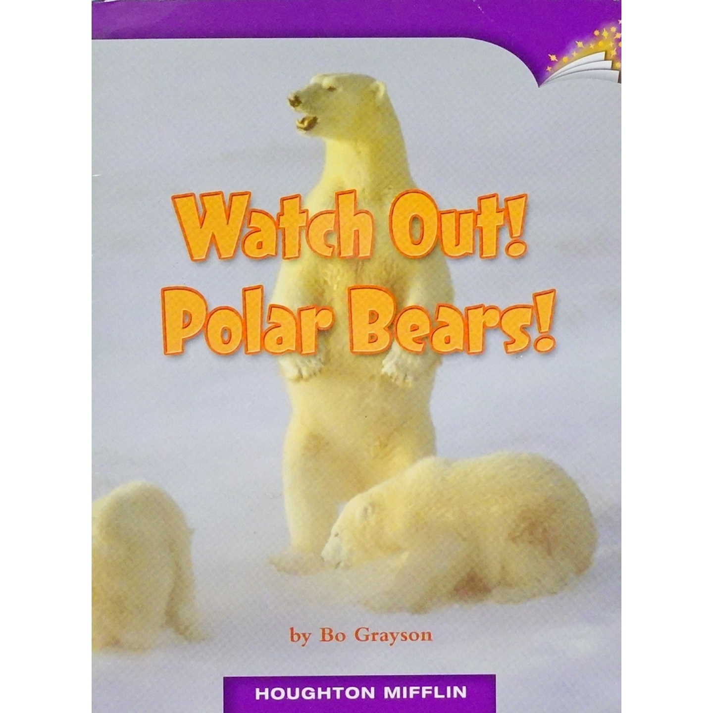 英文原版图书北极熊科普绘本