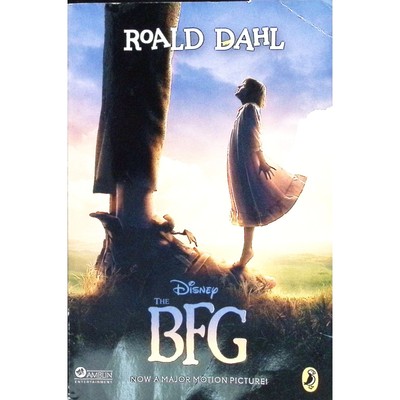 英文原版图书奇幻童话好心眼巨