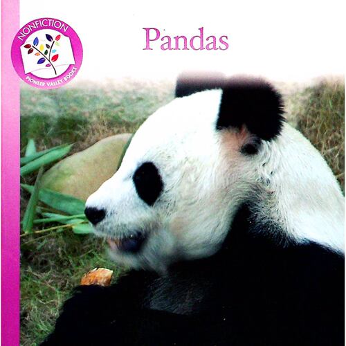 英文原版图书熊猫英语百科书