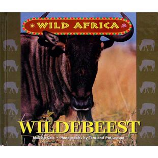野生非洲系列原版书Wildebeest英语绘本梅丽莎科尔著汤姆和帕特利森摄影适合710岁儿童阅读的自然科学动物绘本通过精美图片和生
