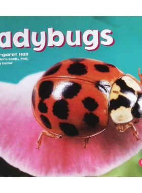 卵石+系列瓢虫原版书英语自然科学绘本Ladybugs适合710岁儿童阅读通过生动图片和简单文字介绍瓢虫外形特征生活习性和行为特征培