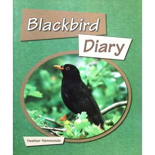 飞扬色彩系列原版 引进英语科普绘本乌鸫日记适读710岁儿童海瑟哈蒙兹著莫莉巴罗内封面插画里克奥特曼内页插画生动记录乌鸫生