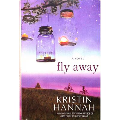 英文原版图书成长小说FlyAway