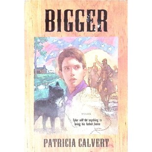 年轻读者 家庭友谊成长故事适合喜欢历史冒险 英语原版 书Bigger比格儿童文学绘本书710岁适读讲述美国内战后