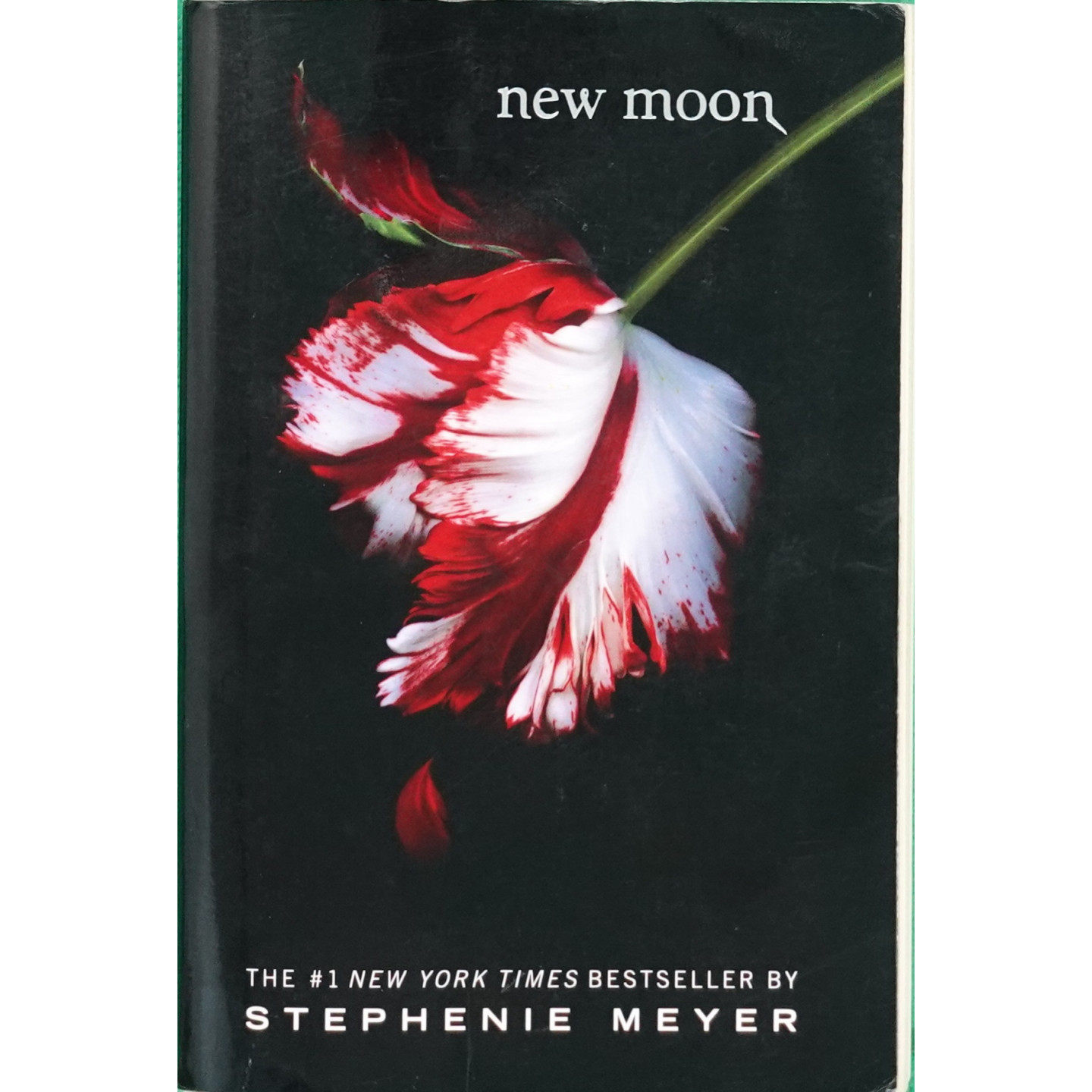 暮光之城系列原版书newmoon英语青少年奇幻爱情小说斯蒂芬妮梅尔著